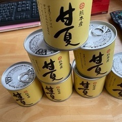 みかん　缶詰　甘夏　フルーツ　賞味期限2025年