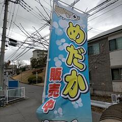 本日無人販売オープン！