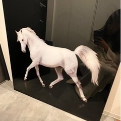 ★Francfranc★アクリルアート★