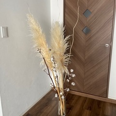 【セット品】パンパスグラスのセット