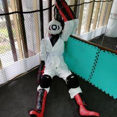 一緒に格闘技しませんか！？ - スポーツ