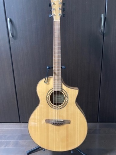 アイバニーズ　エレアコ美品