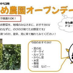 こひめ農園オープンデー！規格外野菜をおすそわけ♪（参加無料＆ドネ...