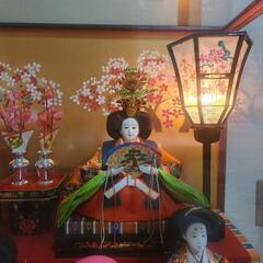 雛人形 ひな人形 ひな祭り 人形 の画像