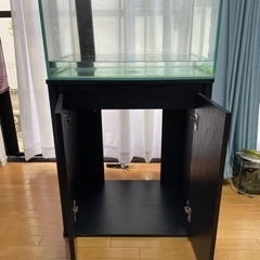 オーバーフロー水槽 60cmワイド