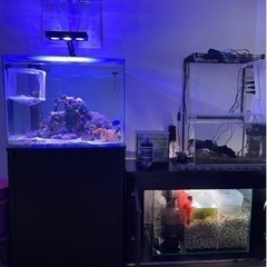 オーバーフロー水槽 60cmワイド