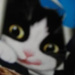 教えて下さい。私 不安なんです。 - その他