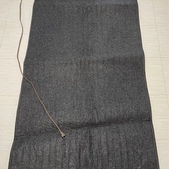 一人用ホットカーペット　譲ります(取りに来られる方限定)