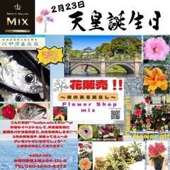 今月の花屋、泡瀬パヤオへの出店は23日天皇誕生日です😄