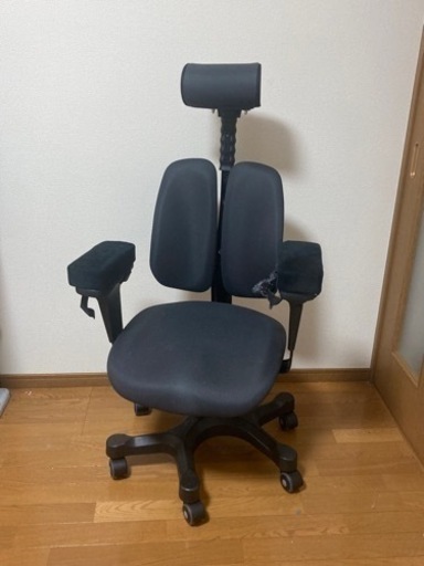 デュオレハイ（2月末に処分予定）