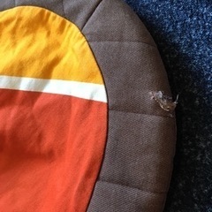 ベビービョルン、ベッド、ベビースケール等まとめ売りの画像