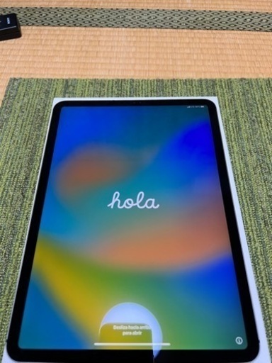 iPad Pro11 256GB 第1世代　Wi-Fi+cellularモデル