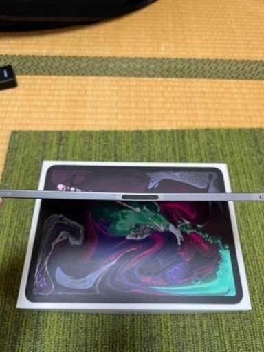 iPad Pro11 256GB 第1世代　Wi-Fi+cellularモデル