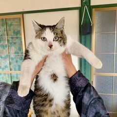 トライアル中！甘えん坊の男の子です。