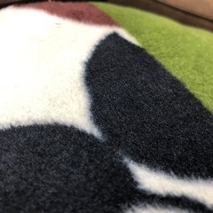 座布団　5枚の画像
