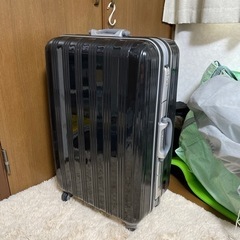 大型キャリーバッグ