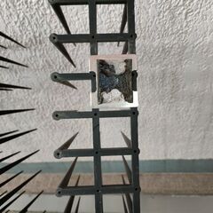鳩よけ　鳩よけ剣山の画像