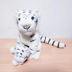 楽天市場】リアルなトラのぬいぐるみ ホワイトタイガー とら 虎 寅 干支 縁起物 子供 インテリア 動物 置物 オブジェ 雑貨 フィギュア アニマル  とらモチーフ : 雑貨の森 Ki・Ra・Ra