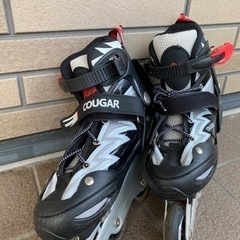 ローラーブレード　23.5〜26cmの画像