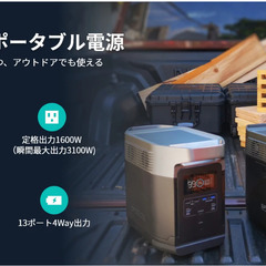 【店頭引き取り限定】EcoFlow ポータブル電源 DELTA1000の画像