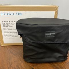 【店頭引き取り限定】EcoFlow ポータブル電源 DELTA1000の画像