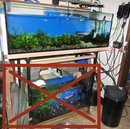 90cm水槽とろ過き魚フルセットです。