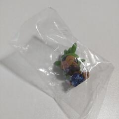 ポケモン　ハリマロンの画像