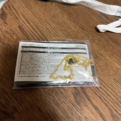 ディズニー　パスケース２点セットの画像