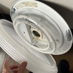 証明