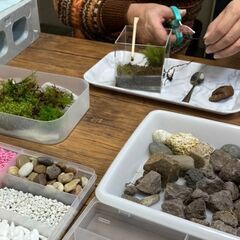 2月23日（木・祝）　苔テラリウム教室　　こけ　コケ　植物　多肉の画像
