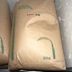 2022年(令和4年)産米 なつほのか 30kg ⑤