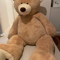 コストコ　熊　236cm