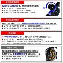ティゴラ TIGORA ティゴラ TR SB0801 スピンバイ...