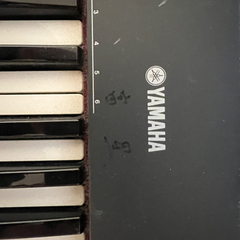 YAMAHA NP-30