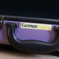 Eastman Case ビオラ/バイオリンハードケース ハイブリッドの画像