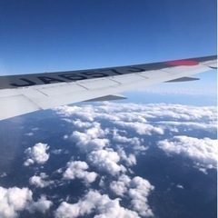 4月に韓国🇰🇷一緒に行きませんか？