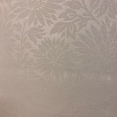 白色ブラインドカーテンの画像