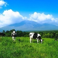 🕊自然に癒されよう🌷✨