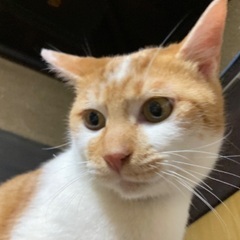 人馴れバッチリ！