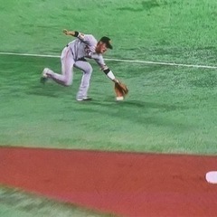 プロ野球観戦東京ドーム