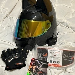 猫耳フルフェイス（決まりました