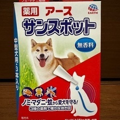 サンスポット　2個　ペット　犬の画像