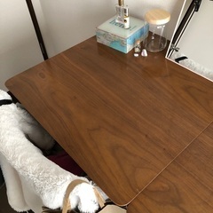 テーブルの画像