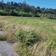 [貸地]宮古島の土地4筆 合計約960坪(848㎡、870㎡、889㎡、561㎡) - 宮古島市