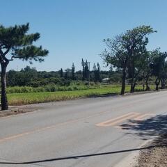 [貸地]宮古島の土地4筆 合計約960坪(848㎡、870㎡、889㎡、561㎡) - 不動産