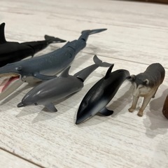 アニア　動物シリーズ　まとめ売りの画像