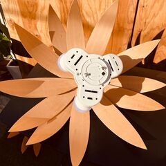 11202 フレイムス シーリングライト コカゲ COCAGE 3灯① 直径