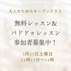 (無料)大人のためのバレエ。オープンクラス