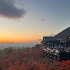 旅行仲間募集