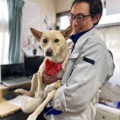 フルタイム社員募集／月給 19万円～／北海道から上京したい方【勤務地】 東京都八王子市 借り上げアパートあり 家賃補助 3万円まで【急募】ネットショップ運営、輸出入、クラウドファンディング、その他事務作業など 月給192,000円 時給1,200円～ 八王子市散田町 地方の方大歓迎！(借上げ社宅有、引越し費用負担) 1日8時間 週5日勤務 自動車通勤可の画像